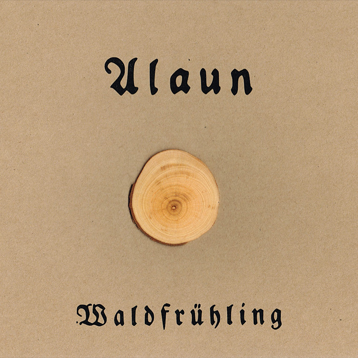 Lichtpfade 003: Alaun - Waldfrühling