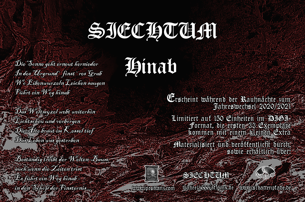 Siechtum-Hinab-Flyer