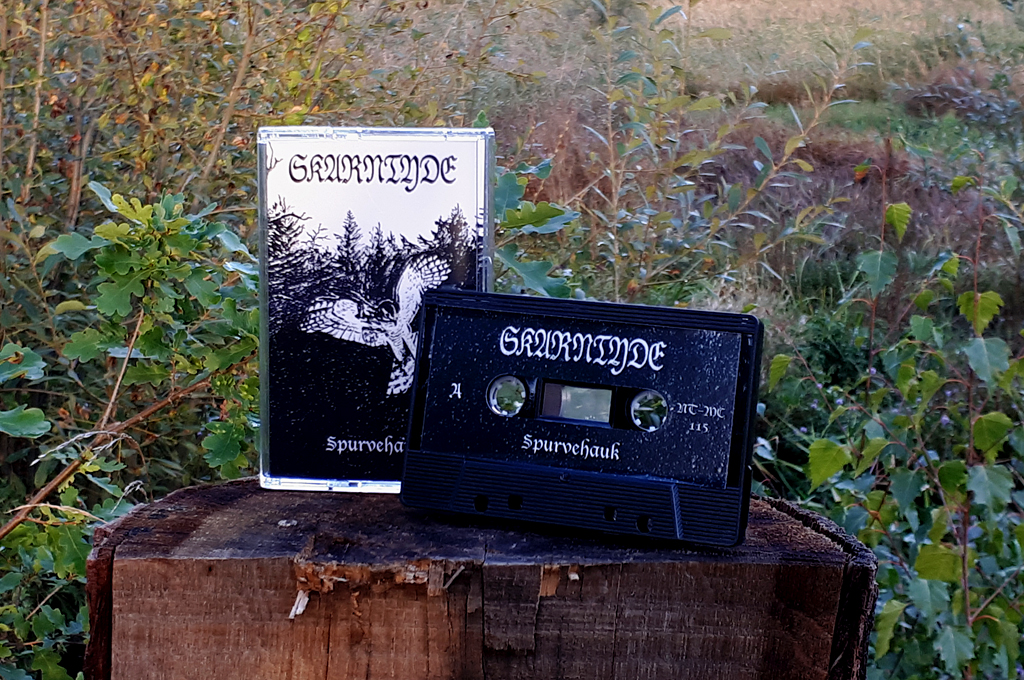 Skarntyde - Spurvehauk