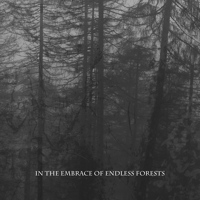 Schattenpfade 044: Alastor - In the Embrace of Endless Forests